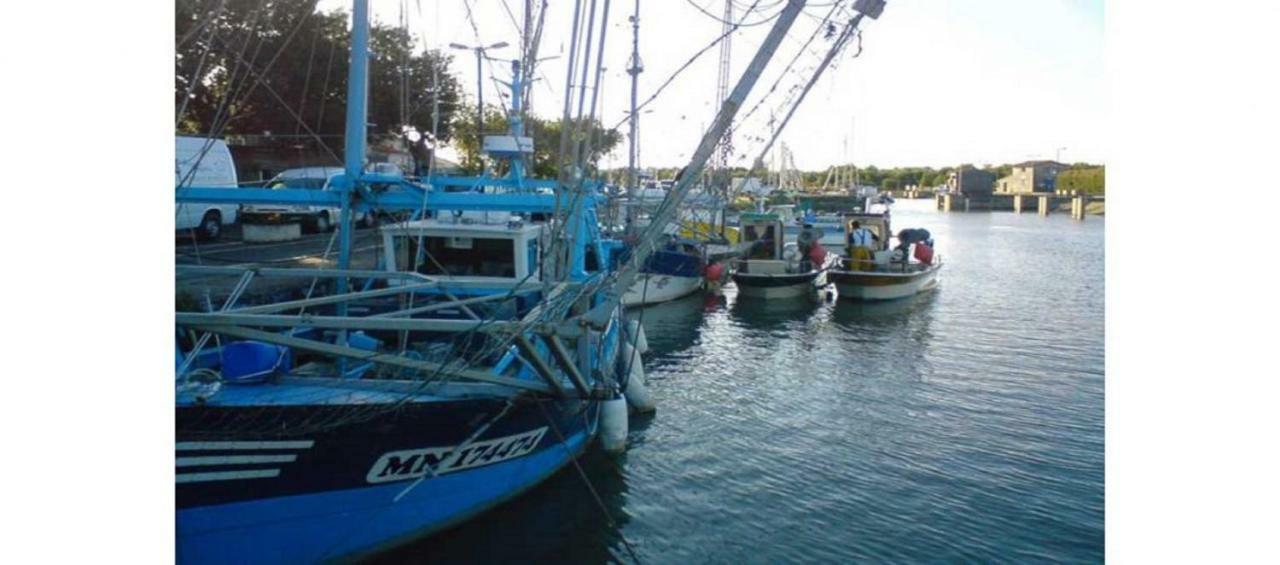 La Palombiere, Plage A 150M Meschers-sur-Gironde Luaran gambar